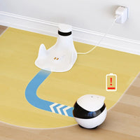Remote Camera Robot