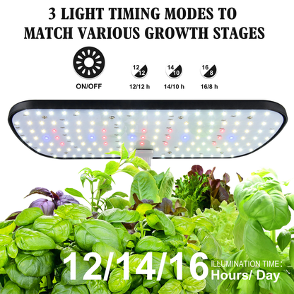 12 Pods Hydroponics Growing System